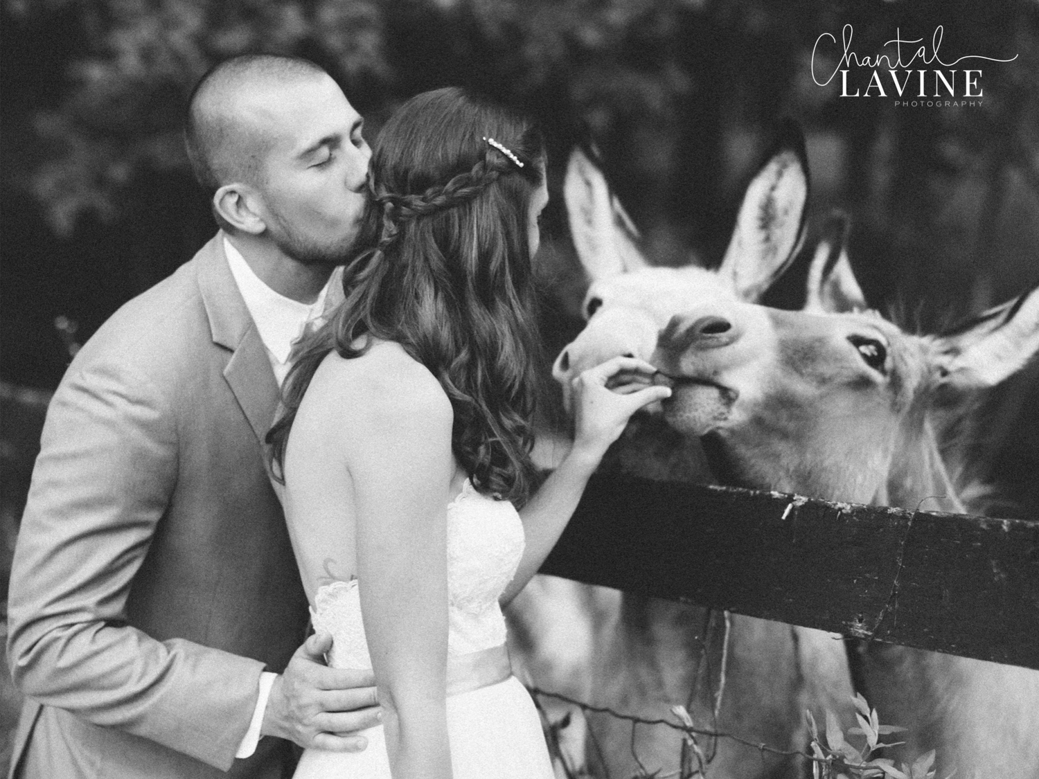 A+C-Wedding_20_19